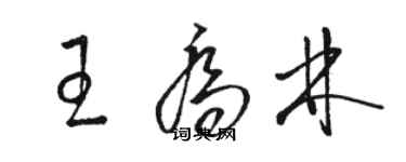 駱恆光王喬林草書個性簽名怎么寫