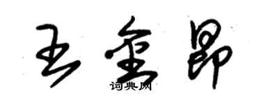 朱錫榮王金昂草書個性簽名怎么寫