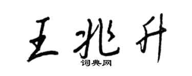 王正良王兆升行書個性簽名怎么寫