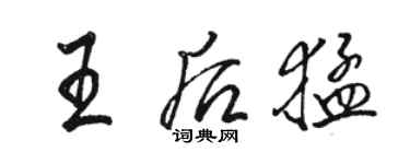 駱恆光王后猛行書個性簽名怎么寫