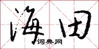 海田怎么寫好看