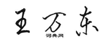 駱恆光王萬東行書個性簽名怎么寫
