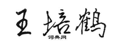 駱恆光王培鶴行書個性簽名怎么寫