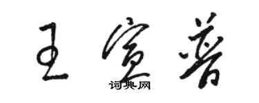 駱恆光王宣普草書個性簽名怎么寫