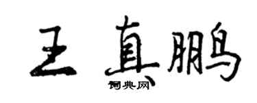 曾慶福王真鵬行書個性簽名怎么寫