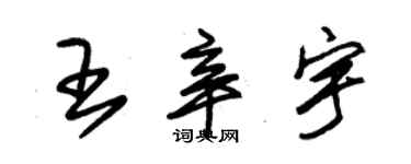 朱錫榮王辛宇草書個性簽名怎么寫
