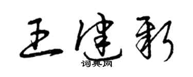 曾慶福王健新草書個性簽名怎么寫
