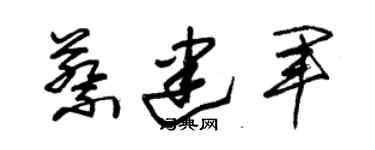 朱錫榮蔡建軍草書個性簽名怎么寫