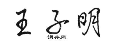 駱恆光王子明行書個性簽名怎么寫