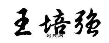 胡問遂王培強行書個性簽名怎么寫
