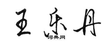 駱恆光王樂丹行書個性簽名怎么寫