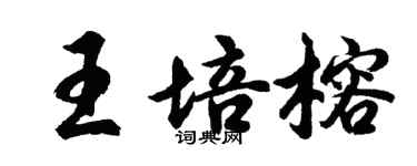 胡問遂王培榕行書個性簽名怎么寫