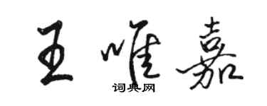 駱恆光王唯嘉行書個性簽名怎么寫