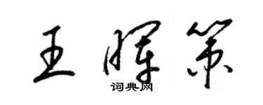 梁錦英王暉策草書個性簽名怎么寫