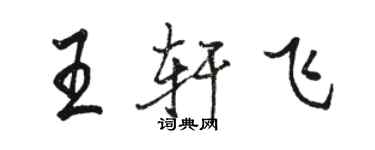 駱恆光王軒飛行書個性簽名怎么寫