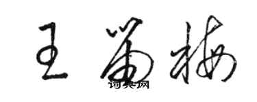 駱恆光王笛梅草書個性簽名怎么寫