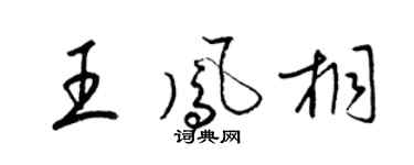 梁錦英王鳳桐草書個性簽名怎么寫