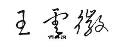 駱恆光王雲徽草書個性簽名怎么寫