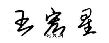 朱錫榮王宏星草書個性簽名怎么寫