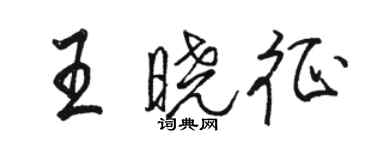 駱恆光王曉征行書個性簽名怎么寫