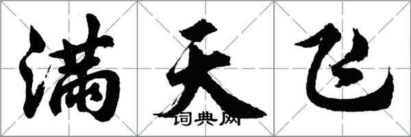 胡問遂滿天飛行書怎么寫