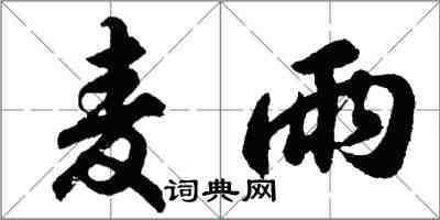 胡問遂麥雨行書怎么寫