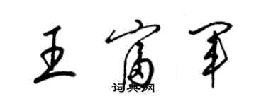 梁錦英王富軍草書個性簽名怎么寫