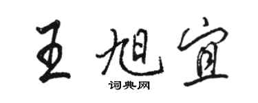 駱恆光王旭宜行書個性簽名怎么寫