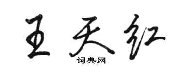駱恆光王天紅行書個性簽名怎么寫
