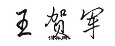 駱恆光王賀軍行書個性簽名怎么寫