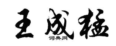 胡問遂王成猛行書個性簽名怎么寫