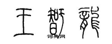 陳墨王智龍篆書個性簽名怎么寫