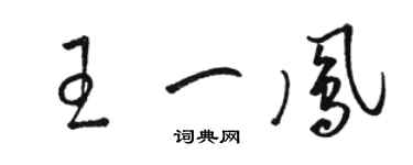 駱恆光王一鳳草書個性簽名怎么寫