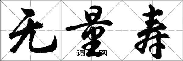 胡問遂無量壽行書怎么寫