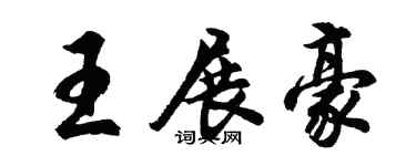 胡問遂王展豪行書個性簽名怎么寫