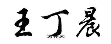 胡問遂王丁晨行書個性簽名怎么寫