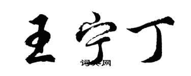 胡問遂王寧丁行書個性簽名怎么寫