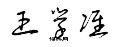 曾慶福王學準草書個性簽名怎么寫