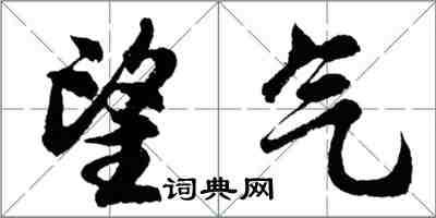 胡問遂望氣行書怎么寫