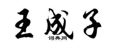 胡問遂王成子行書個性簽名怎么寫