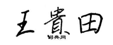 王正良王貴田行書個性簽名怎么寫