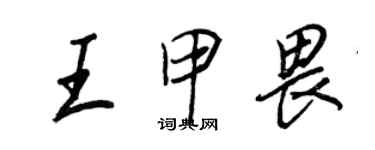王正良王甲畏行書個性簽名怎么寫