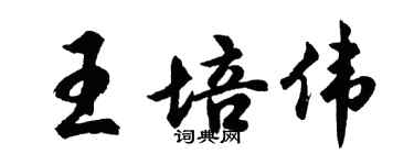胡問遂王培偉行書個性簽名怎么寫