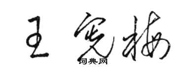 駱恆光王憲梅草書個性簽名怎么寫