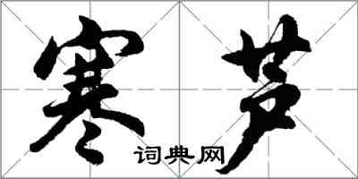 胡問遂寒蘆行書怎么寫