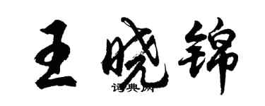 胡問遂王曉錦行書個性簽名怎么寫