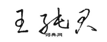 駱恆光王純君草書個性簽名怎么寫