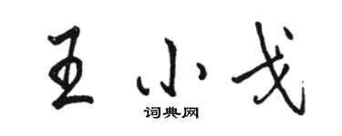 駱恆光王小戈行書個性簽名怎么寫