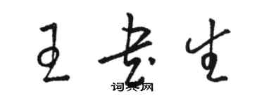 駱恆光王書生草書個性簽名怎么寫