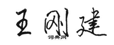 駱恆光王剛建行書個性簽名怎么寫